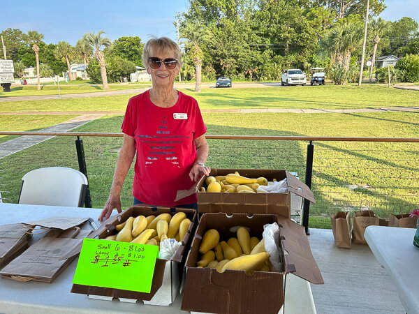 Smiling lady works a market table of squash